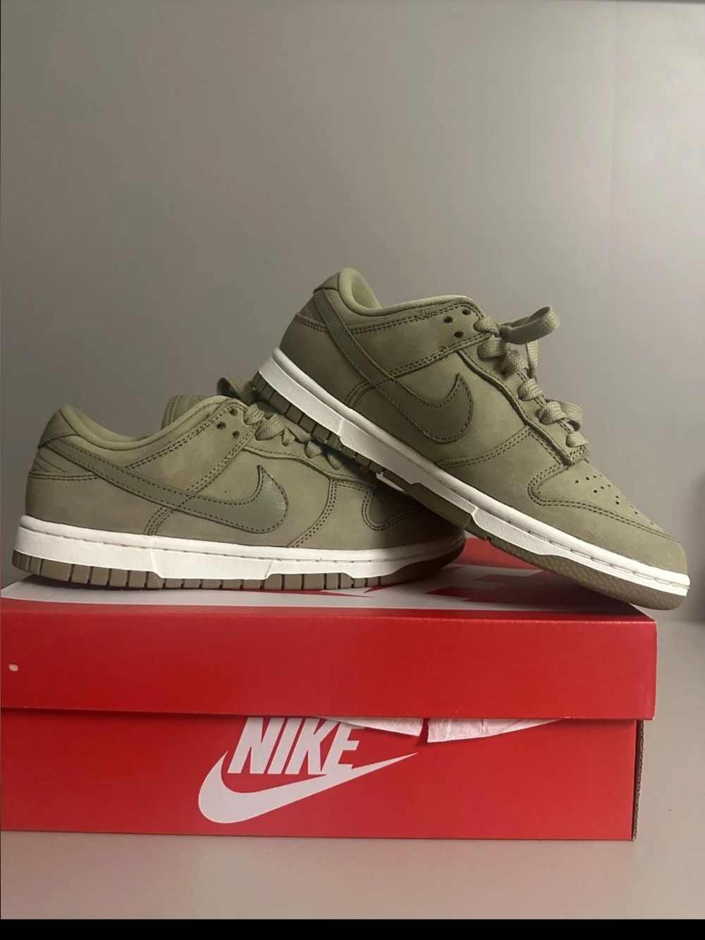 6W Nike Dunk lows PRM MF